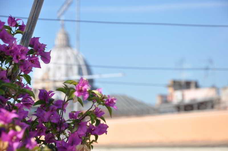Le Suite Di Via Ottaviano - Suite In Rome B&B Экстерьер фото